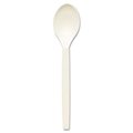 Eco-Products Eco-Products; Inc EPS003 Renewable PSM Cutlery; Teaspoon; Cream; 1;000-Carton EPS003